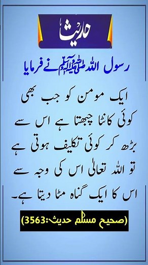 Hadees e Nabavi ﷺ in Urdu | Hadees e pak ﷺ #youtubeshorts #ytshorts #shorts #hadees