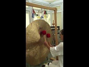 Feng “Wind” Gong - TheSoundSanctum