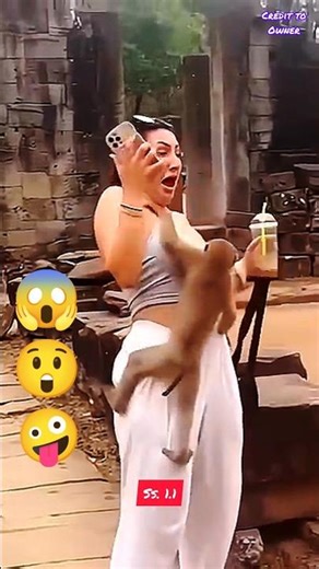 funny animals videos 😱 funny shorts 678 😂 comedy video 🤣 #funnyanimal #animals #pets #funny