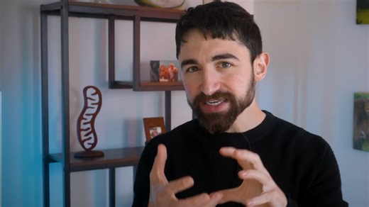 How chronic stress hijacks a small—but powerful—brain region