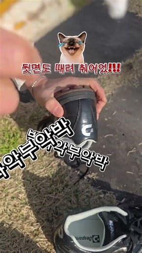 축구화 길들이기 #풋살화#축구화#뒤꿈치 까짐#신발 길들이는범