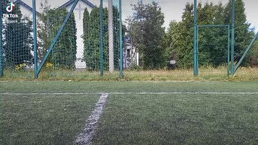 Therian_.lives na TikTok