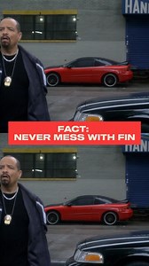 276K views · 2.4K reactions | Fin is full of fun facts.  Watch SVU today, Sunday on USA Network. | USA Network | Facebook