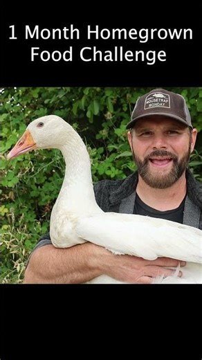 100% Homegrown Food Challenge - Meat - Shawn Woods #farming