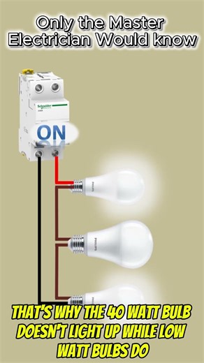 Only the master electrician would know