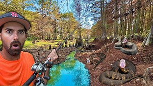 Bitten While Fishing in a Snake-Infested Swamp