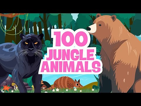 100 Jungle Animals for Kids 🐒🐍🐦 | Learn Mammals, Reptiles, Birds, Amphibians & Insects