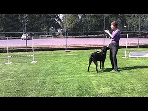 Platform Training - Go Outs