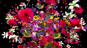 High Quality Exploding Colorful Flowers 4k Stock Footage Video (100% Royalty-free) 1010710064 | Shutterstock