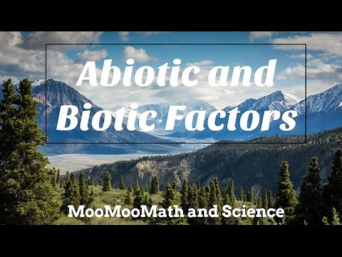 Difference between Abiotic and Biotic Factors
