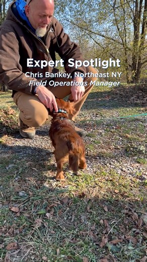 2.1K views · 16 reactions | Not only is our system the most advanced, but we have a network of experts just like Chris with you and your pet every step of the way to ensure their safety  | Invisible Fence Brand | Facebook