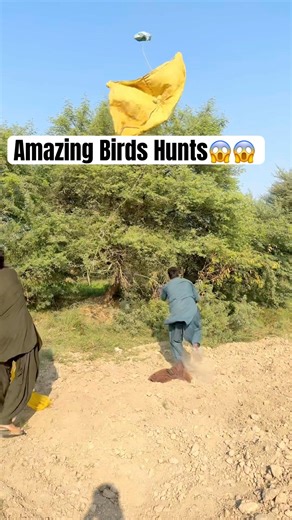 Real Hunting Skills of Birds 😳 Unbelievable Nature Attacks #wildlife #birdhunting#natureattack
