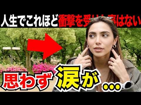 「思わず涙が…この国はまるで異世界」外国人観光客にインタビュー｜ようこそ日本へ！Welcome to Japan!【海外の反応】