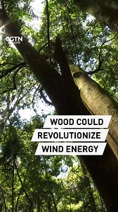 Wood could revolutionize wind energy