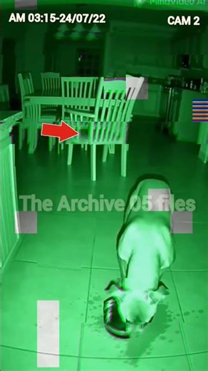 Something INVISIBLE dragged my dog... (Haunted House) 🚫