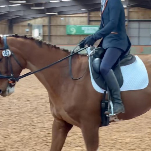 A wee video of our BD dressage outing to Rockrose including bits of the warm up and our test. despite going wrong again (!!) we gained a 66.46% which i’m pleased with. My plan for the next outing in a couple of weeks is to learn and remember both tests! 🤣🙈 Slowly slowly reducing the tension 🥰 good boy Kenny 🧡 WOW Saddles Winderen - Innovative Equestrian Equipment Charles Owen | Orange Fox Eventing