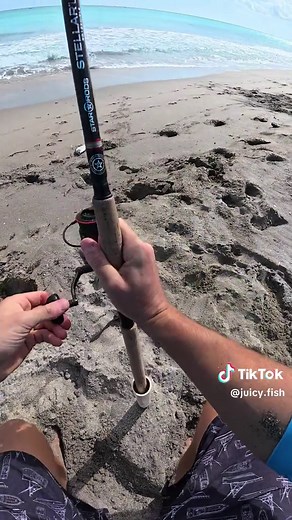 Surf Fishing in Florida: Tips and Techniques