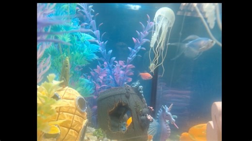 Know that feeling when you're waiting for your food to be delivered...then you get the text saying it's arrived? Yeah. We do, too. | Rush Public Library