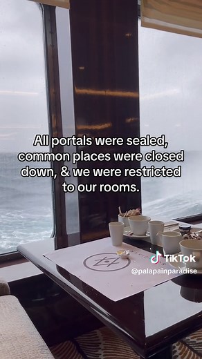 The ship made haunting noises, moans and groans as it took on wave after wave. #antarctica #shackleton #atlasoceanvoyages #lifeontiktok #tiktokpartner #lifestyletiktok #nature #travel #iceberg #sealife #dink #drakepassage #drakepassagetok