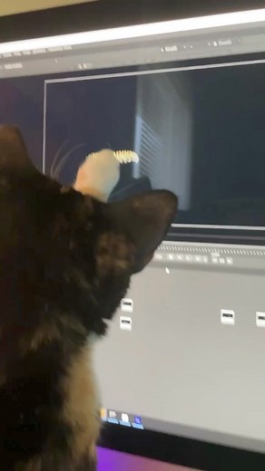 Coming next week: insects and spiders so realistic they'll fool your pets.     We're also releasing: - Lava Flows - 3D Slow Motion Muzzle Flashes - 3D Construction Cranes It's time to make it real ➡️ https://buff.ly/3vc6tAG (P.S. Show us your cutest cats in the thread!   ❤️ ) | ActionVFX | Facebook