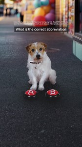 39 reactions | Choosing Budget Direct for your Car Insurance? That's smart  | Budget Direct | Facebook