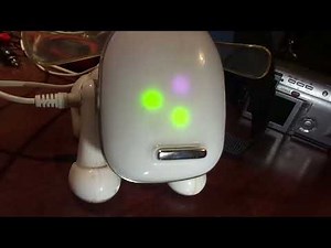 I-Dog iDog Electronic Dog Speaker Robot Pooch test