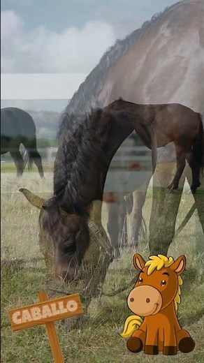 EL CABALLO 🐴🐴 ANIMALES DE LA GRANJA PARA NIÑOS #animalesdelagranja #educaciónpreescolar