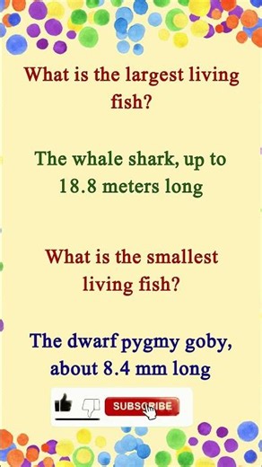 Largest Fish 🐟 vs Smallest Fish on Earth 😱