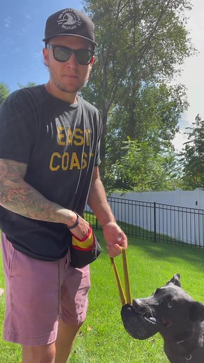 21K views · 602 reactions | Teach ANY DOG to “Drop” #dogtraining #dogtrainingtips | Tom Davis Dog Training | Facebook