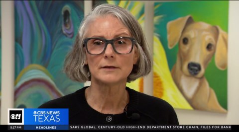 Dogs rescued from East Texas ranch recovering at SPCA