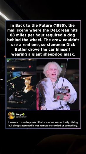 In Back to the Future (1985), the mall scene required a dog behind the wheel. The crew couldn't use