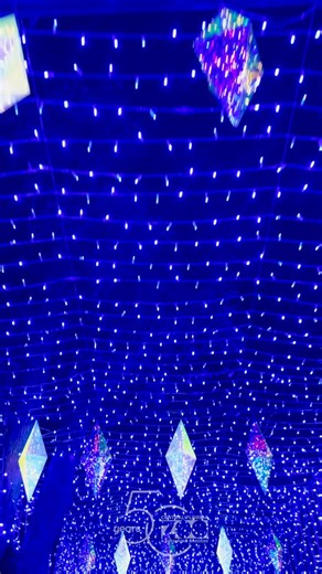 Opening night of an ALL-NEW Asian Lantern Festival: Into the Wild, presented by Publix, is here! Get your tickets now at www.centralfloridazoo.org | Central Florida Zoo & Botanical Gardens