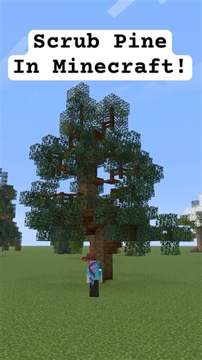 Scrub Pine Tree in Minecraft! #minecraftbuilding