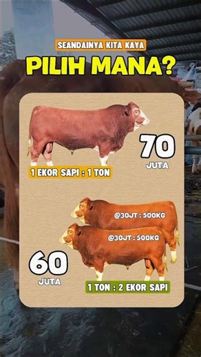 IF WE WERE RICH, WHAT KIND OF COW WOULD WE CHOOSE FOR Qurban?