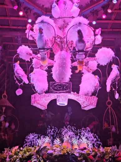 Exploring the Tiki Room at Disneyland