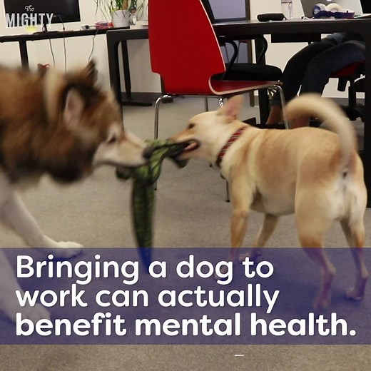 Today may be Take Your Dog to Work Day, but there are benefits of bringing your furry friend into the office every day. | Mental Health on The Mighty