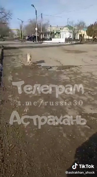 Узнайте город: Астрахань в каждом видео