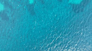 Ocean, Sea, Turqoise. Free Stock Video