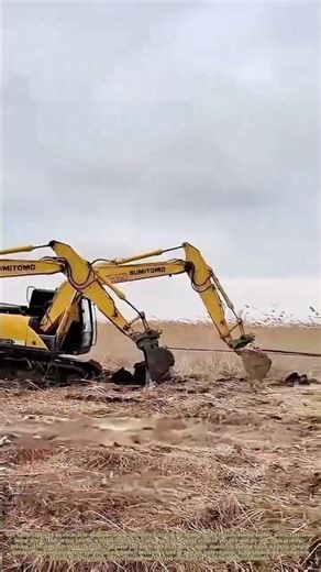 Arm of the Machine: The Unseen Strength in a Tow**