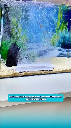 Aquarium Box Air Stone Producing Dense, Fine Bubble Streams
