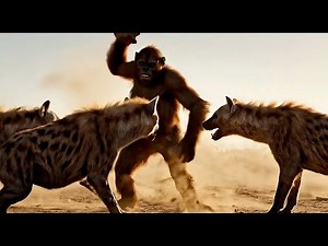 What I Learned from Exploring 6 MILLION Years of Hominid History