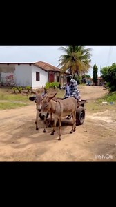 😂😂😂😂 | Mr Connection