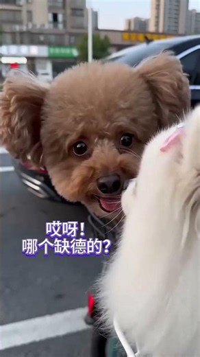 Funny stories from rural China 😂 #funny #funnyvideos #funny #hilarious #happy #comedy #fun