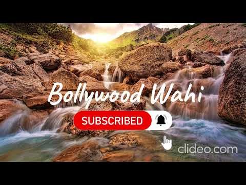 Bollywood Wahi | Bollywood Pulse | The Heartbeat of Hindi Cinema 💥