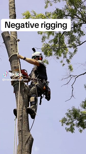 Understanding Negative Rigging in Tree Work