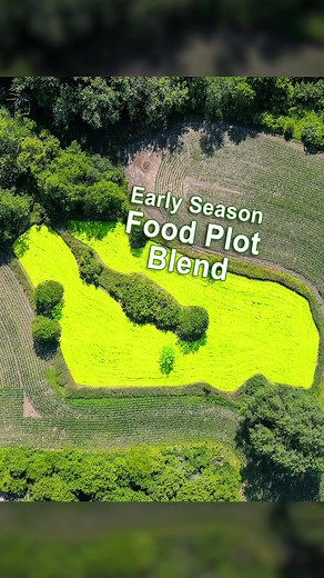 Whitetail Deer Season Preparation: Planting the Perfect Food Plot