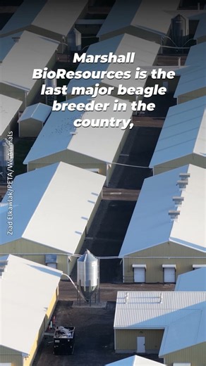 You’d Never Guess What’s Happening Inside These Buildings 😱