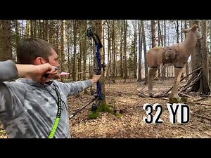 3D Archery Shoot 2022