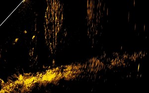 84 reactions · 33 comments | Lowrance pro 'Romen Dicovski' is at it again! Check out this Golden Perch capture using the new ActiveTarget transducer ... 酪 Roaming Productions - Australia | Lowrance | Facebook