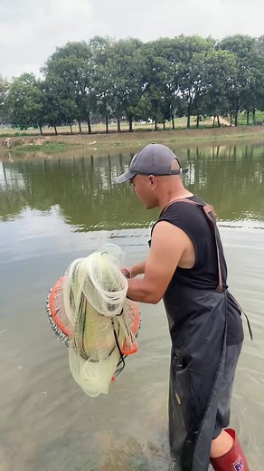 throw net in the wild to catch big perch | Anhnongdanth